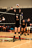 Volleyball Action